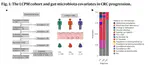 Microbiome confounders and quantitative profiling challenge predicted microbial targets in colorectal cancer development